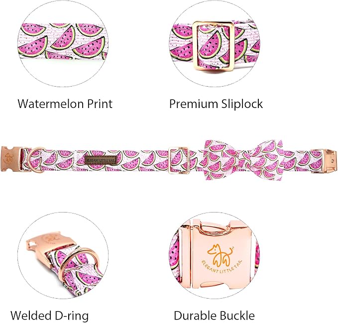 Elegant little tail Dog Collar, Watermelon Print Pet Collar Summer Dog Collar - Image 2