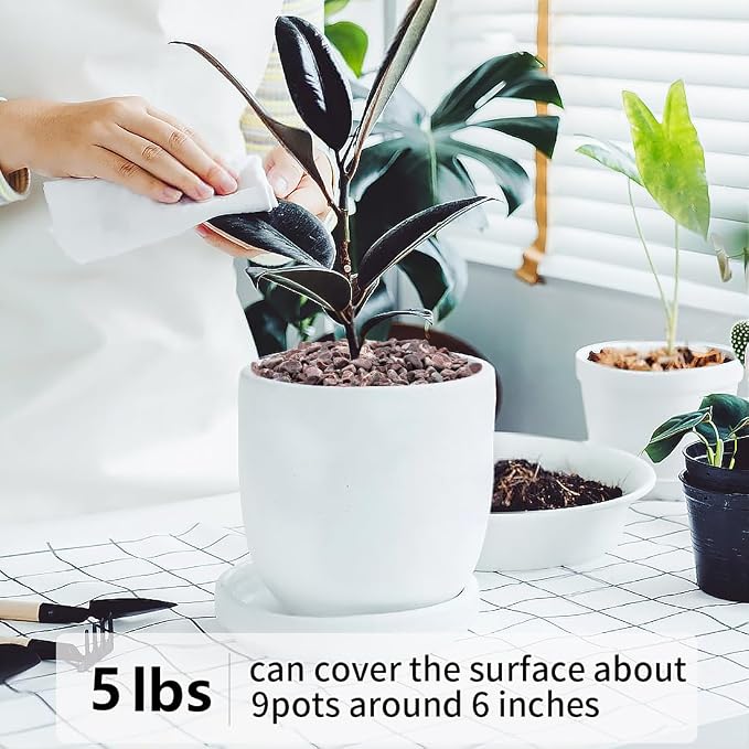 5LB Succulent and Cactus Gravel Pebbles, 1/5 Inch Natural Decorative Polished - Image 4