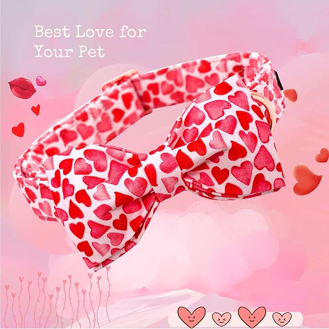 Lionheart glory Dog Collar - Image 3