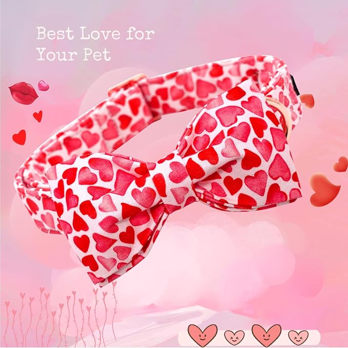 Lionheart Glory Valentine's Day Dog Collar - Image 3