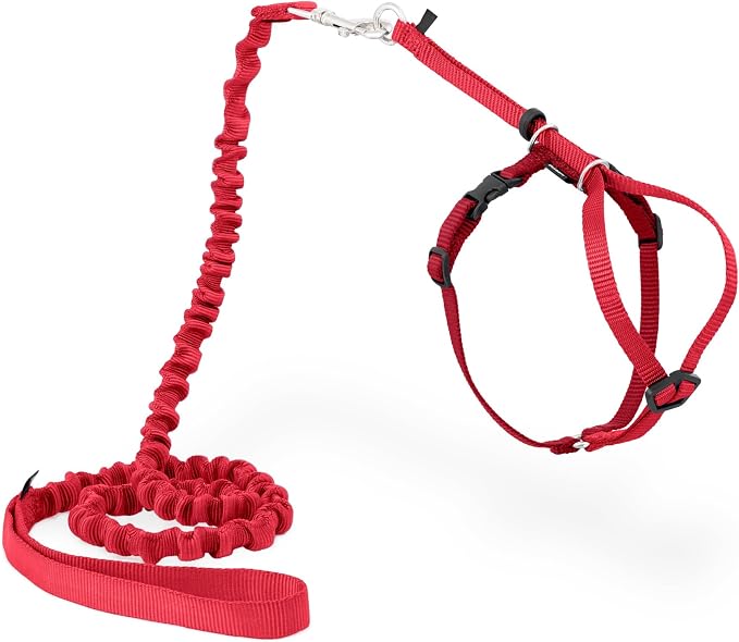 PetSafe Come With Me Kitty Harness and Bungee Leash by PetSafe
