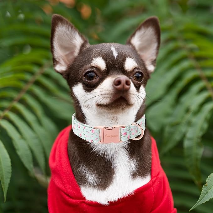 Unique style paws Dog Collar Metal Buckle Green Flowers Collar Gift Durable - Image 4