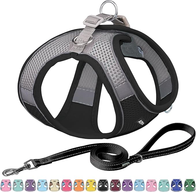 AIITLE Dog Harness, No-Pull Cat Harness by AIITLE-FORPETSBETTERLIFE