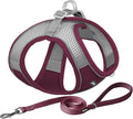 AIITLE Step in Dog Harness and Leash Set by AIITLE-FORPETSBETTERLIFE