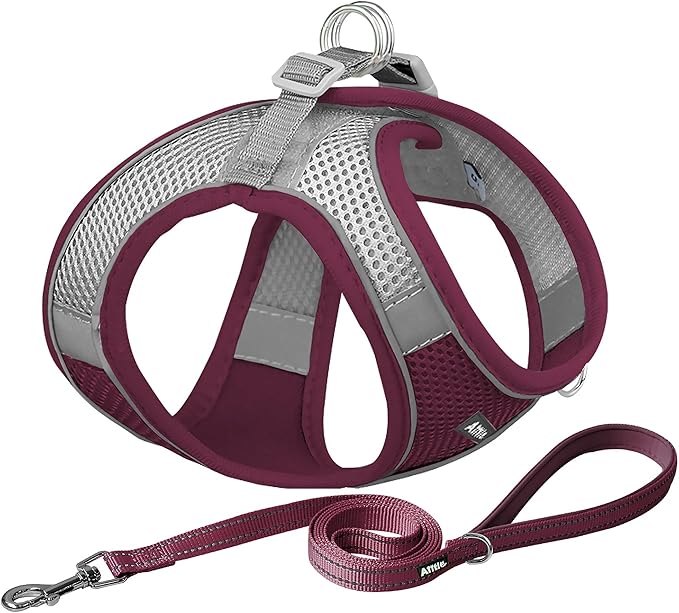 AIITLE Comfortable Dog Harness and Leash Set by AIITLE-FORPETSBETTERLIFE