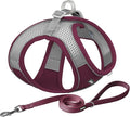 AIITLE Comfortable Dog Harness and Leash Set by AIITLE-FORPETSBETTERLIFE