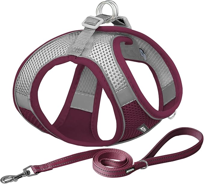 AIITLE No Pull Dog Harness and Leash Set, Christmas Step in Adjustable Dog by AIITLE-FORPETSBETTERLIFE