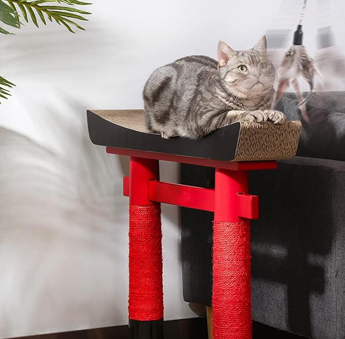 Retractable Cat Teaser Wand Toy, Cat Toys - Image 7