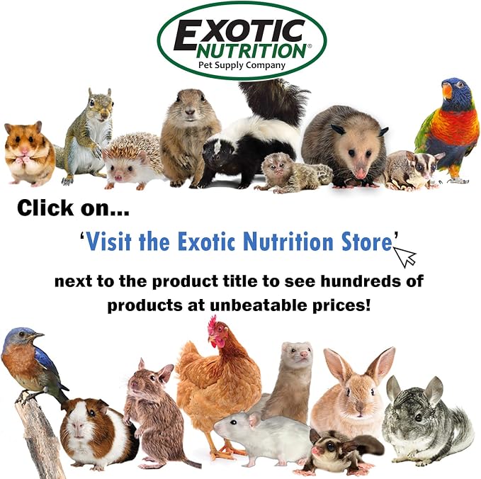 Nectar Pods Holder - Image 8