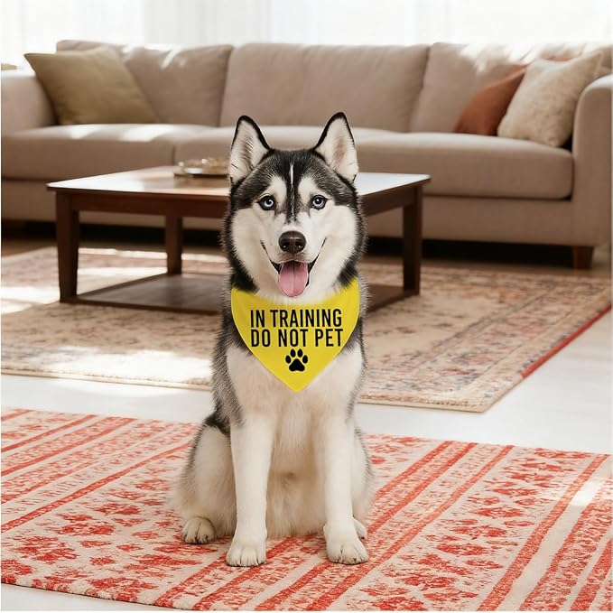 in Training Do Not Pet Dog Yellow Bandana, Training Dogs Scarf, Do Not Pet My - Image 3