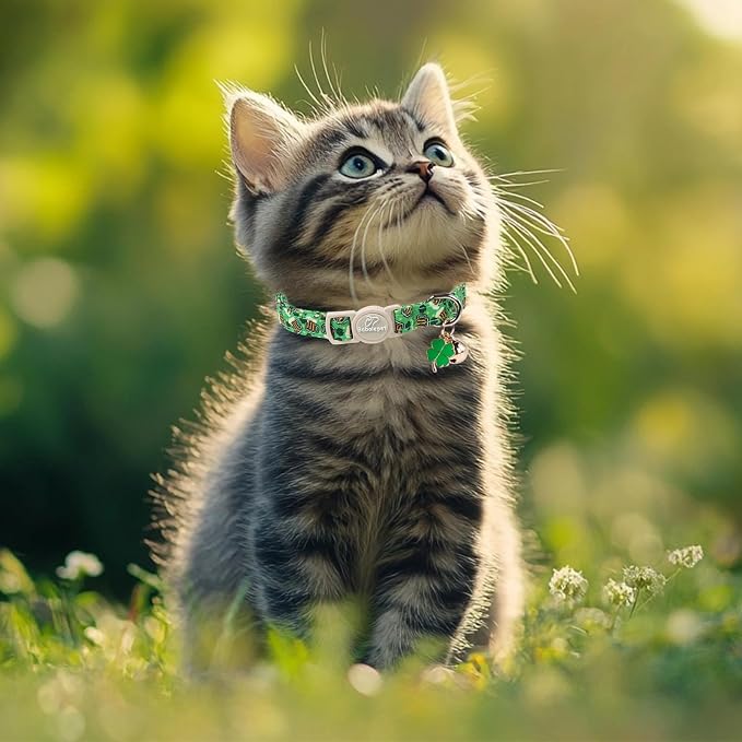 2 Pack St. Patrick’s Day Cat Collars - Image 5