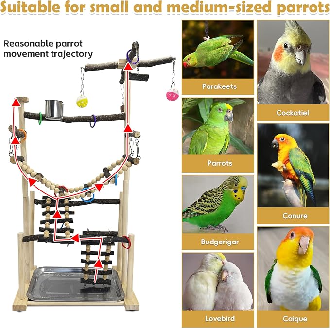kathson Large Bird Playground - Image 3