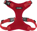 Voyager Step-in Pet Harness by BestPetSuppliesLLC
