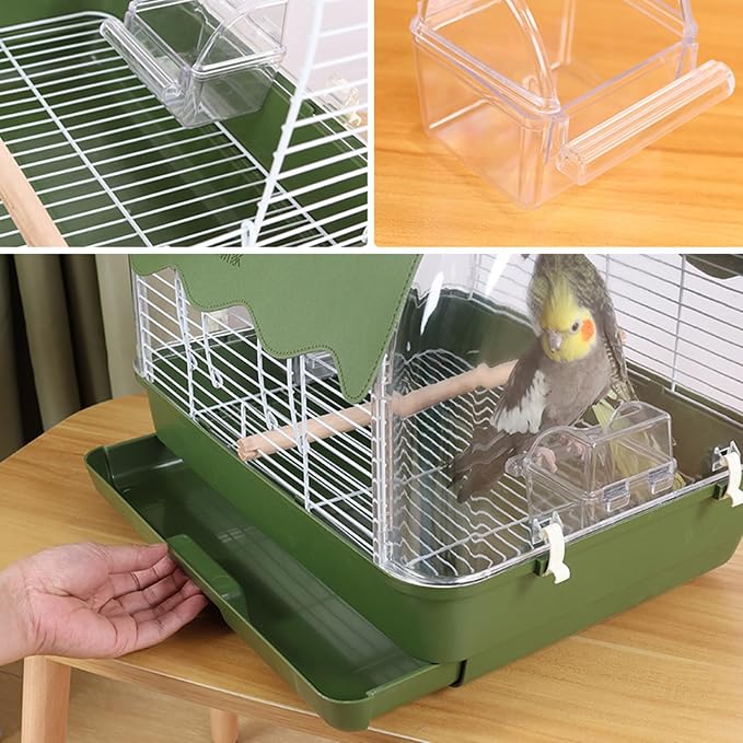 Transparent Small Bird - Image 7