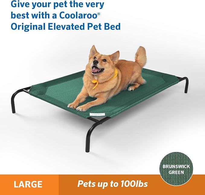 Gale Pacific Coolaroo The Original Cooling Elevated Dog Bed, Indoor and Outdoor - Image 2