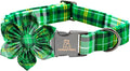 Lionheart glory St. Patrick's Day Dog Collar by LionheartGlory