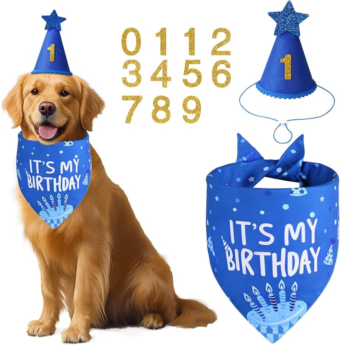 Dog Birthday Party Supplies - Image 2