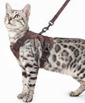 Cat Harness and Leash Set Escape Proof Tactical Large Kitten Harness Emotional by pangdi