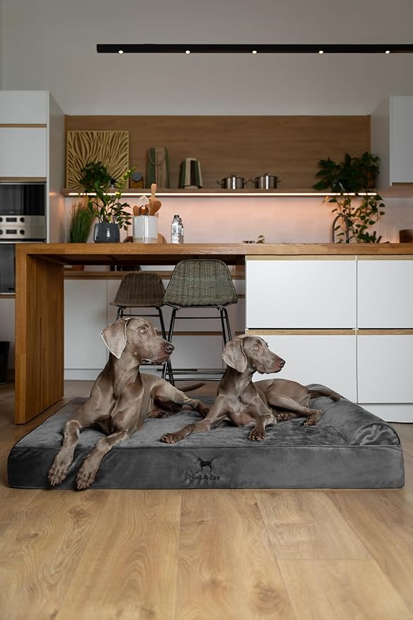 NOAH & PAW Giant Dog Bed XXL 55x45x9.5 Inch, Orthopedic Dog Beds, Eggshell - Image 7