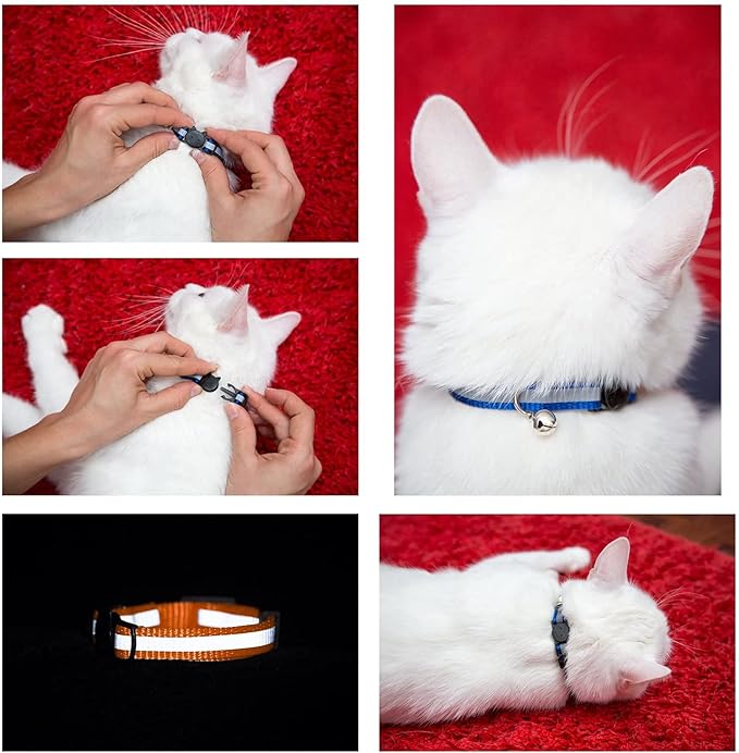 Reflective Cat Collar with AirTag Holders, with Bells, Solid & Safe Collars - Image 4