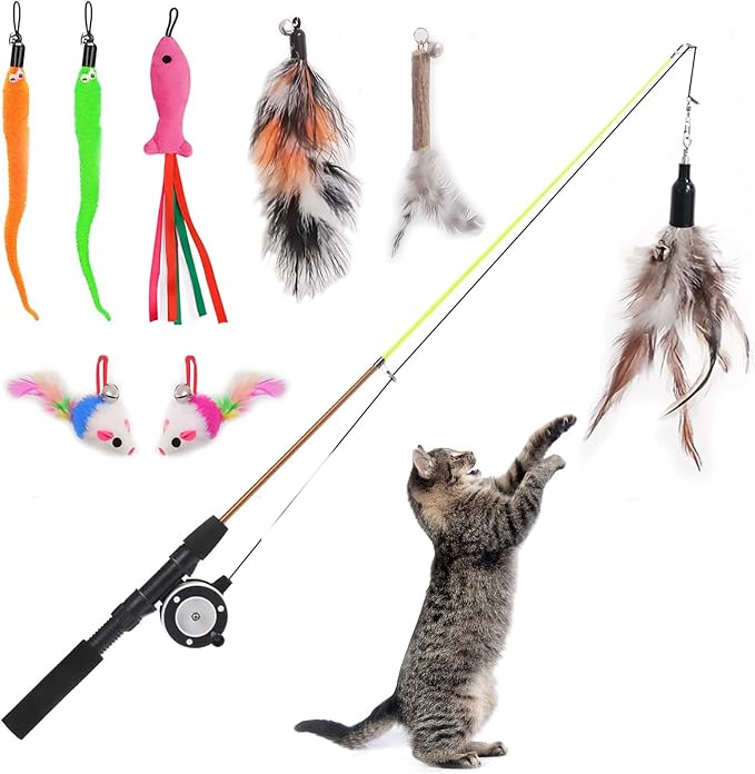Retractable Cat Teaser Wand Toy, Cat Toys by Whefory