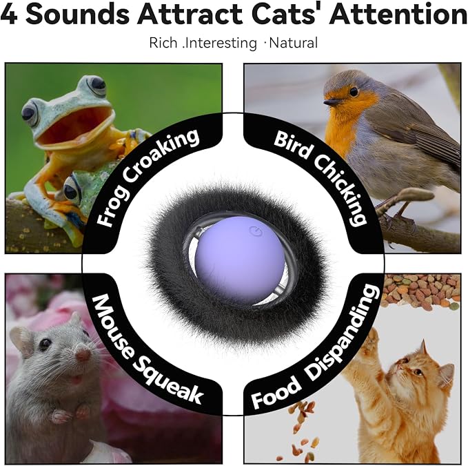ORSDA Cat Toys for Indoor Cats, Interactive Activated Moving Ball in 7 Holes Mat - Image 8