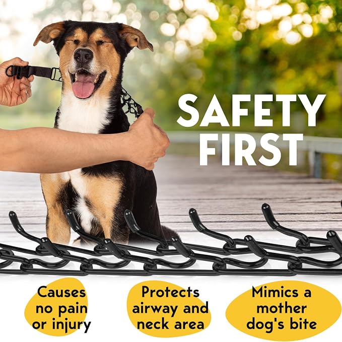 PetJett ProTrainer Prong Collar - Image 3