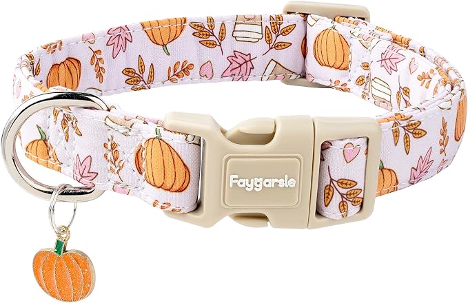 Faygarsle Fall Pumpkin and Leaves Pattern Dog Collar by Faygarsle