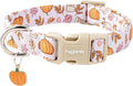 Faygarsle Fall Pumpkin and Leaves Pattern Dog Collar by Faygarsle