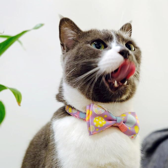 2 Pack Easter Day Cat Collar - Image 6