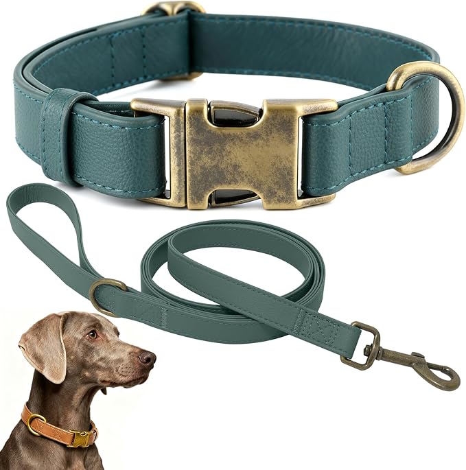 Dog Collar and Leash Set, Leather Silicone Waterproof Odor-Proof Dog Collar and by Ben+%26+Fellows