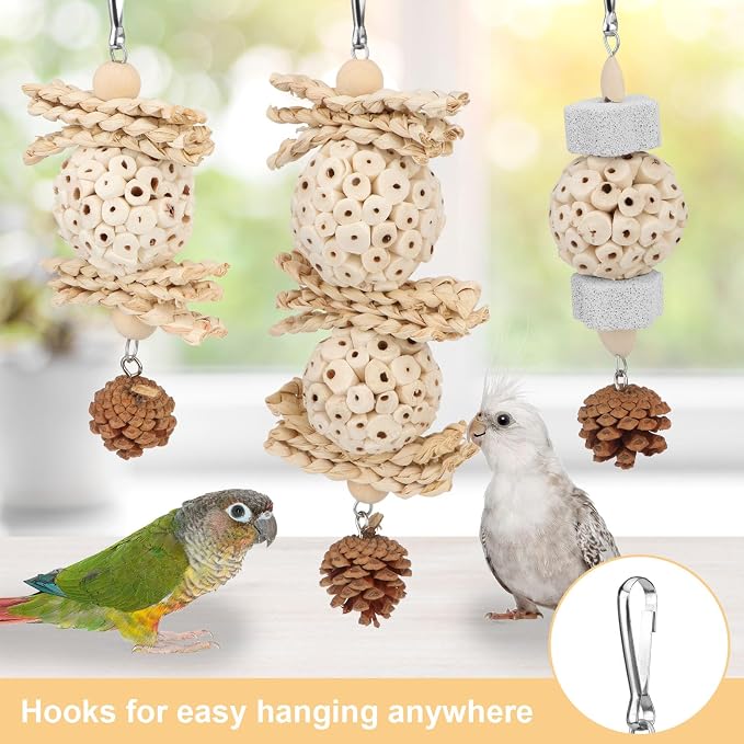 Wontee Bird Toys 3 Pack Parrot Foraging Hanging Toys Sola Ball Natural Nuts - Image 6