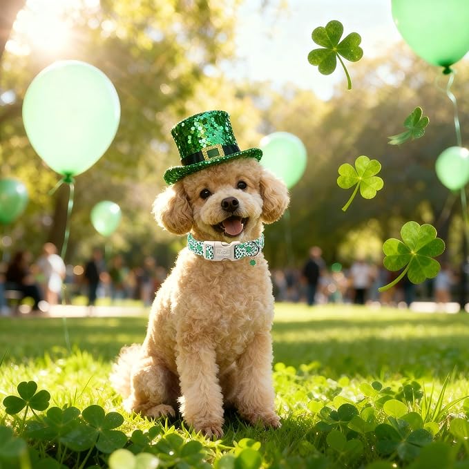 St Patricks Day Dog Collar for Small Dogs - Image 3