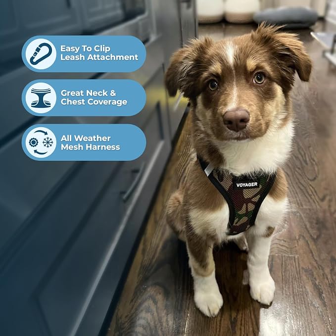 Best Pet Supplies Voyager Step-in Air Harness - Image 2