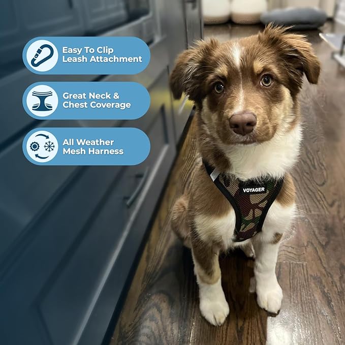 Best Pet Supplies - Image 2