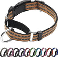 Martingale Dog Collar, Adjustable Nylon Reflective Collar by JOYEEIIOO
