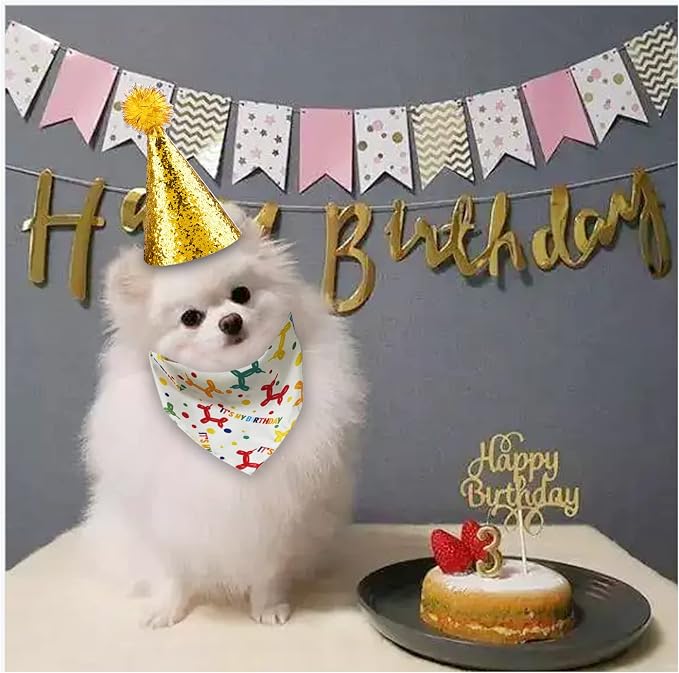 Dog Birthday Hat and Bandana for Boy/Girl Pet Party Supplies - Image 3