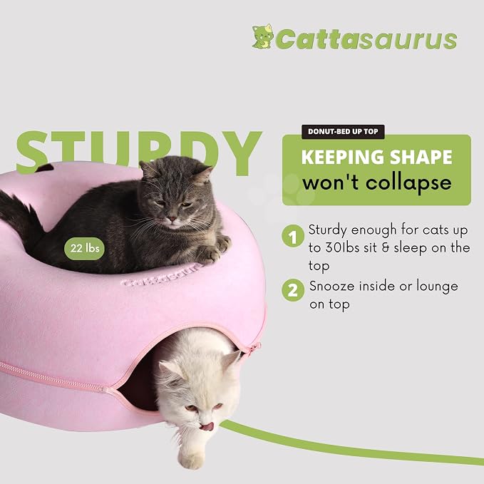 Cattasaurus Peekaboo Cat Cave Donut - Image 2