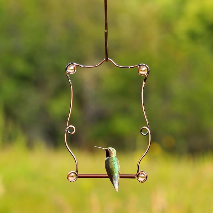 Perky-Pet Copper Beaded Hummingbird Swing - Image 9