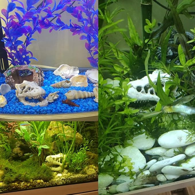 Resin Dinosaur Skull Aquarium Ornament Mini Dinosaur Tank Decoration Betta Fish - Image 3