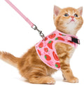PUPTECK Soft Mesh Cat Vest Harness and Leash Set Puppy Padded Pet Harnesses by PUPTECK