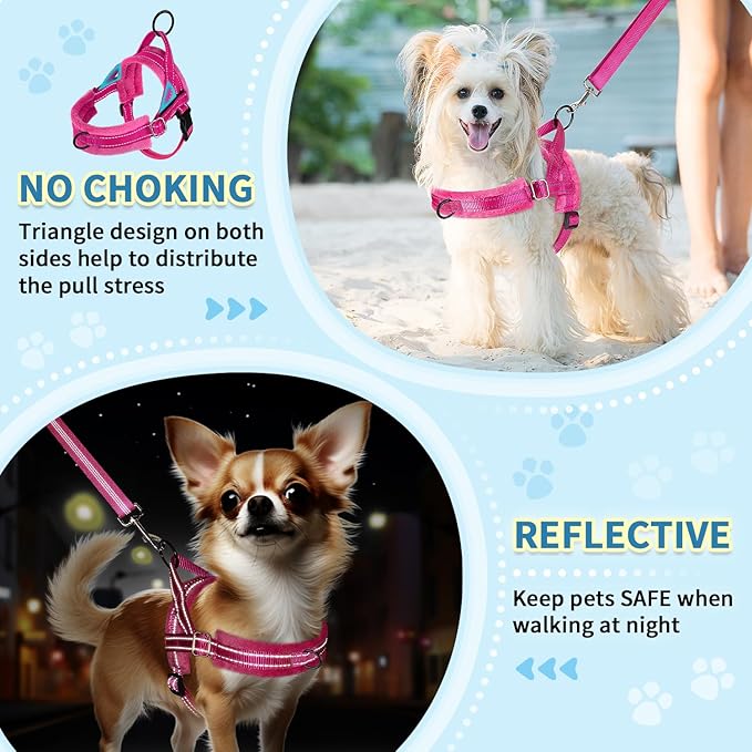 SlowTon No Pull Small Dog Harness and Leash Set, Puppy Soft Vest Harness Neck & - Image 3