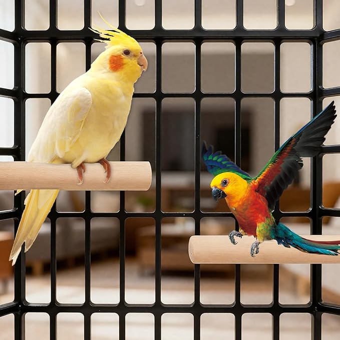 Bird Perch Wooden Parrot Perchs Stand, Small Parakeets - Image 6