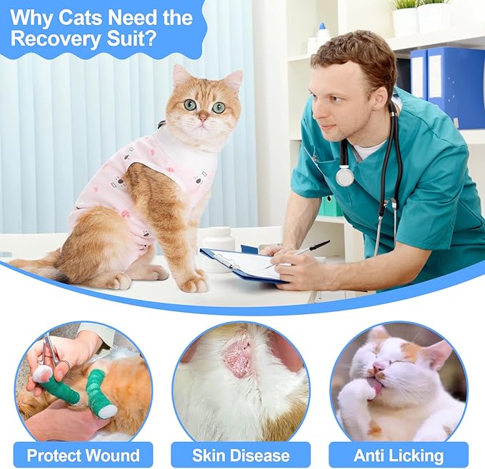 Cat Recovery Suit Female, Breathable Cat Onesie After Surgery Female - Image 7