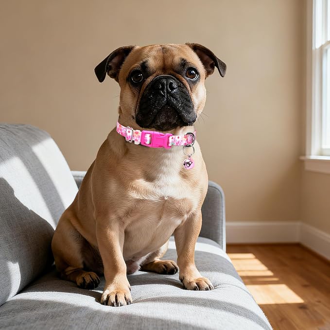 Puppy Collar with Bell，Nylon - Image 6