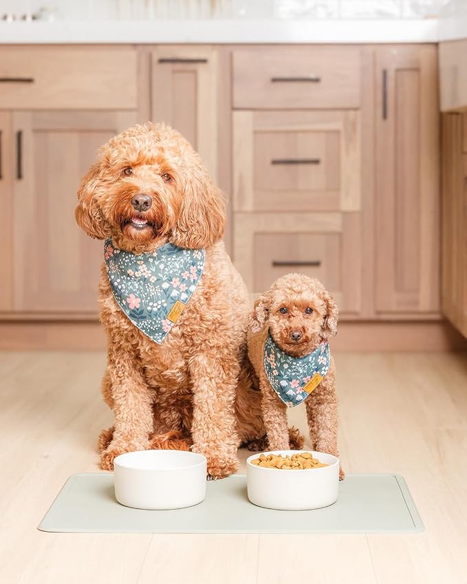 Remy+Roo Sage Silicone Dog Food Mat - Image 2