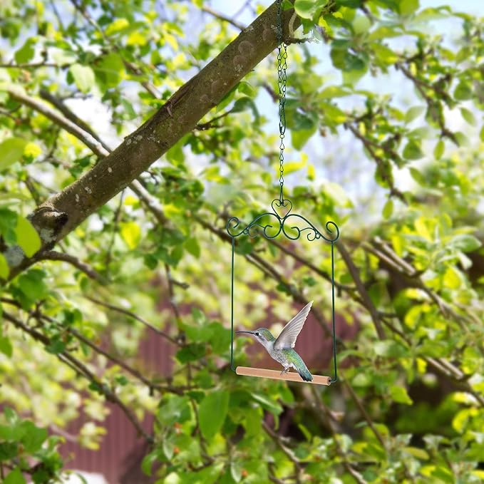 2 Pcs Hummingbird Swings and Perches Metal Frame Bird Swing - Image 6
