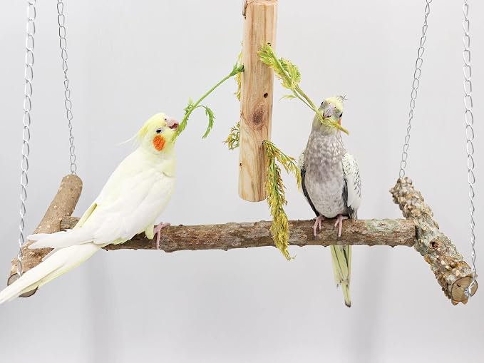 Large Bird Perch Swing Toy, Natural Pepper Wood Parrot Perch Stand Toy - Image 4