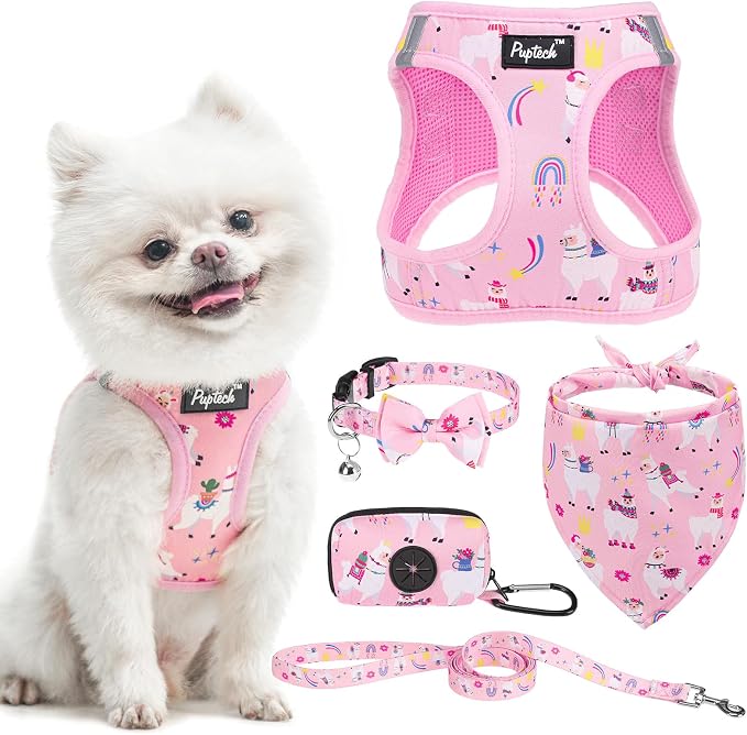 PUPTECK Adjustable Dog Harness Collar and Leash Set, Step in No Pull Pet Harness by PUPTECK
