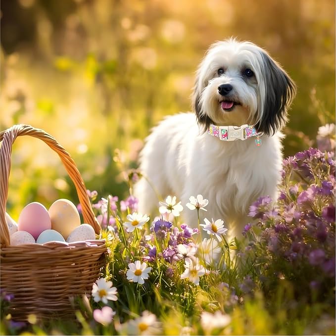 Easter Dog Collar for Medium Dogs - Image 5